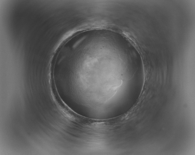 X0000068830054200605191909