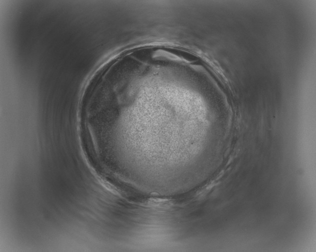 X0000068830055200605191909