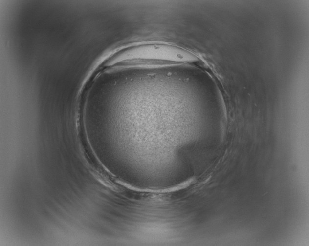 X0000068830056200605191909