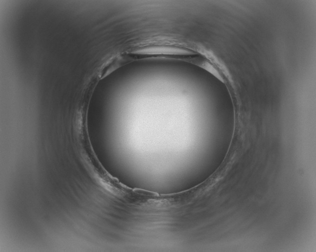 X0000068830057200605191909