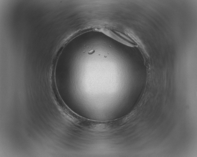 X0000068830058200605191909