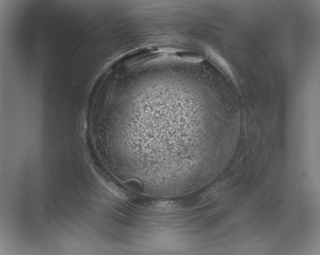 X0000068830059200605191909