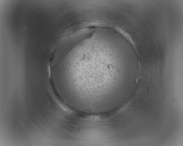 X0000068830061200605191909