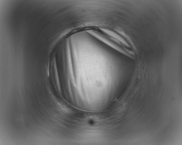 X0000068830062200605191909