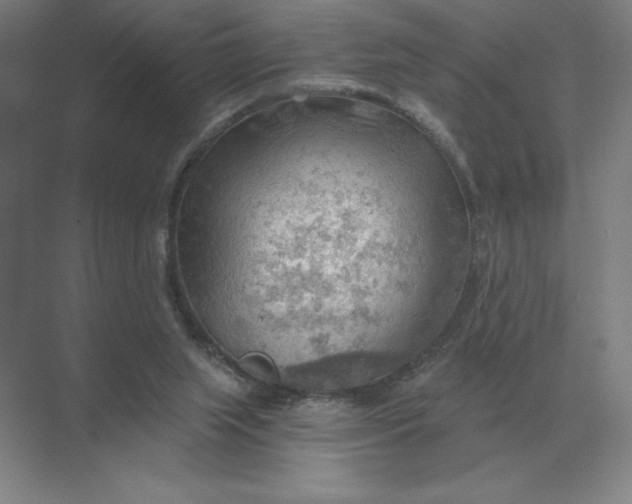 X0000068830063200605191909