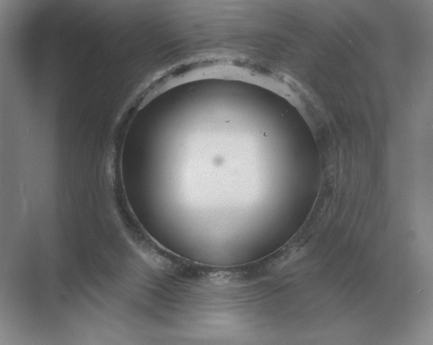 X0000068830064200605191909