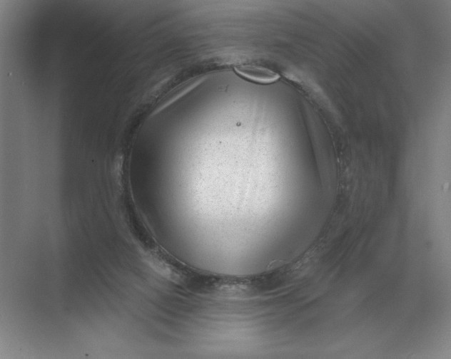 X0000068830066200605191910