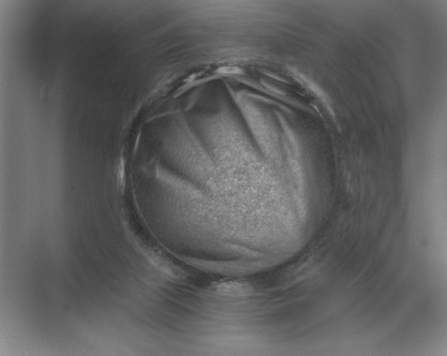 X0000068830067200605191910