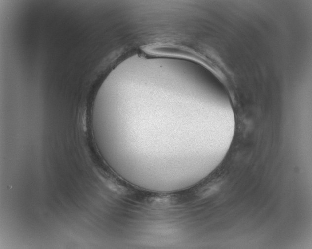 X0000068830068200605191910