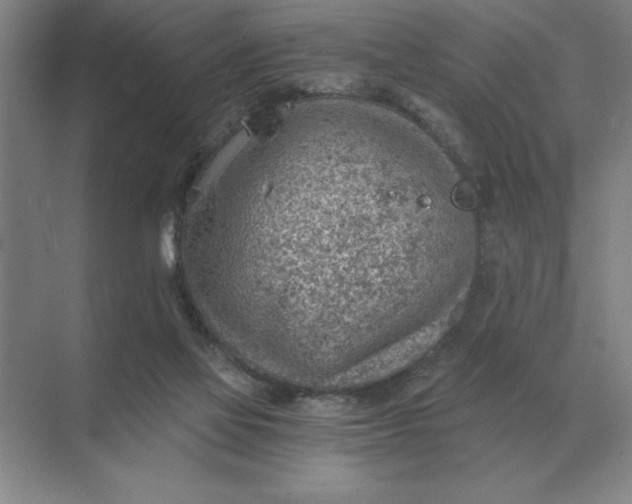 X0000068830069200605191910