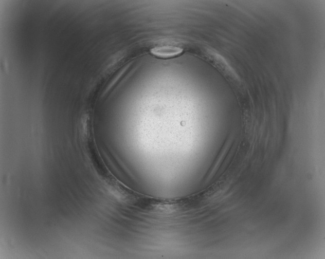 X0000068830071200605191910