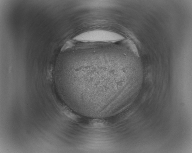 X0000068830073200605191910