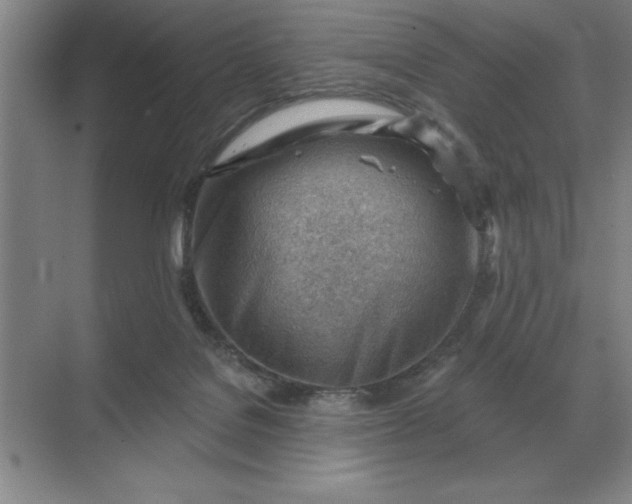 X0000068830076200605191910