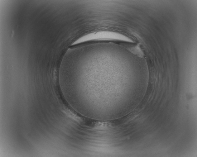 X0000068830077200605191910