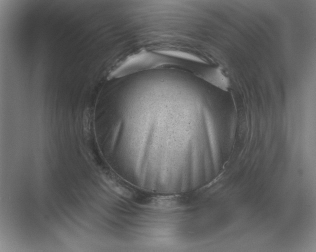 X0000068830078200605191910