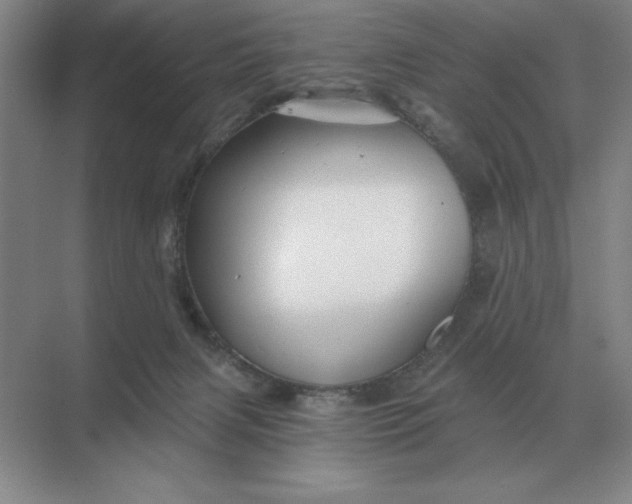 X0000068830079200605191910