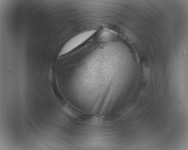 X0000068830080200605191910