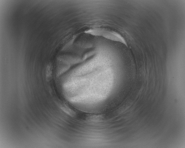 X0000068830081200605191910