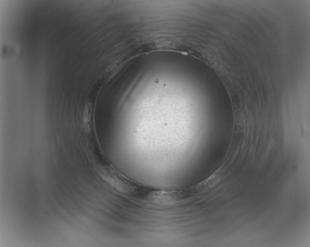 X0000068830082200605191910