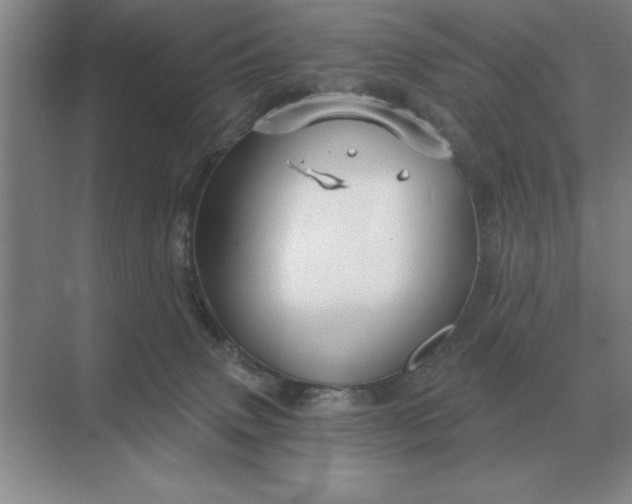 X0000068830083200605191910