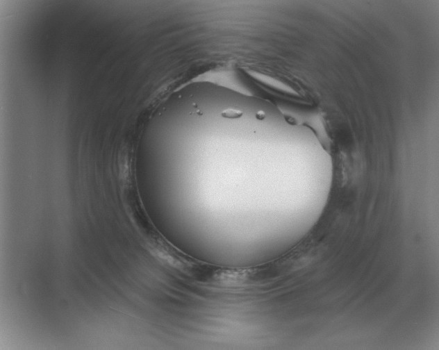 X0000068830084200605191910