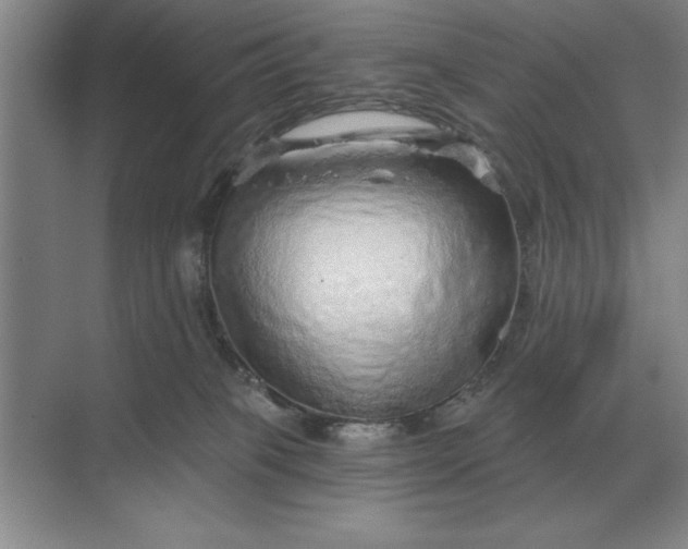 X0000068830085200605191910