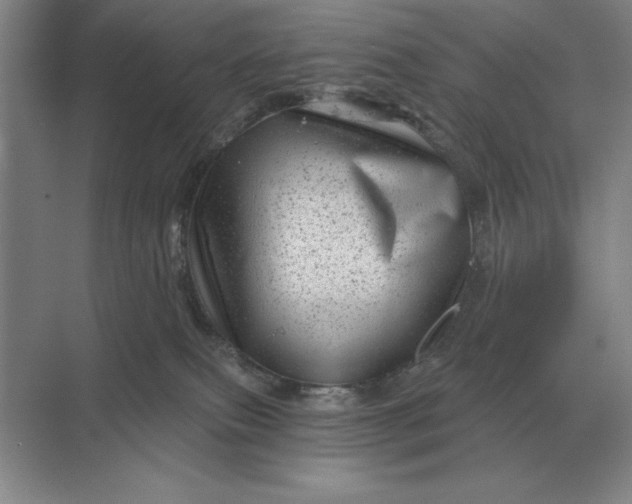 X0000068830087200605191910