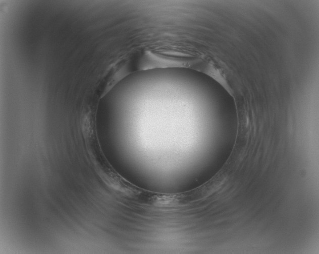 X0000068830088200605191910