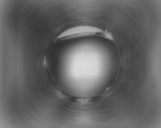 X0000068830089200605191910