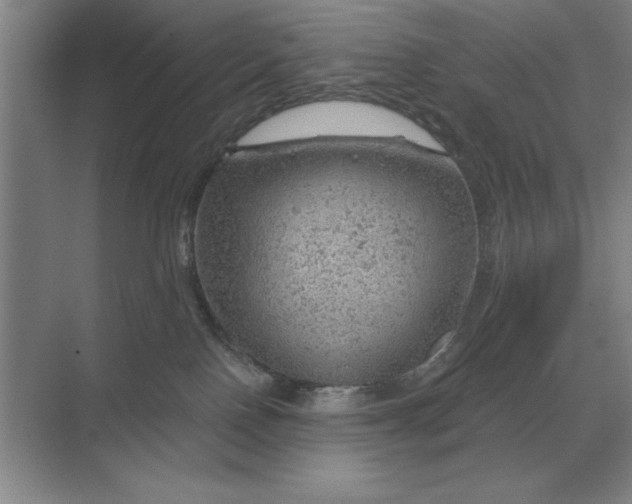 X0000068830090200605191910