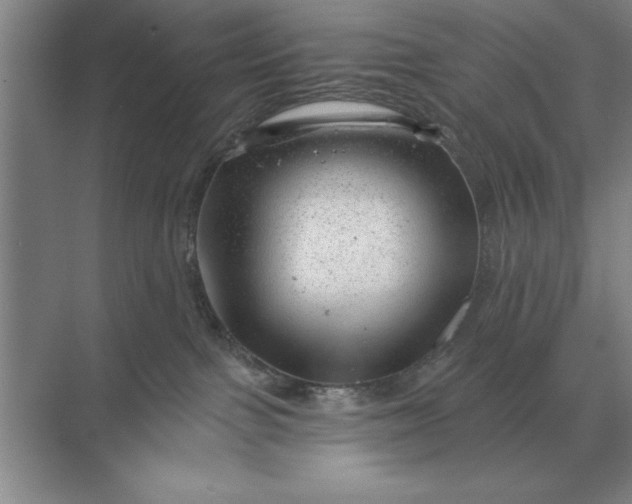 X0000068830091200605191910