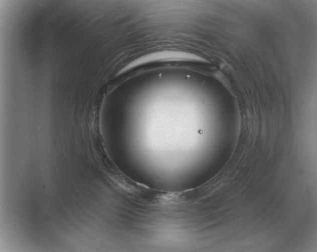 X0000068830092200605191910