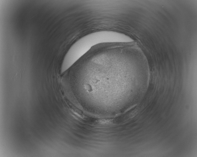 X0000068830093200605191910