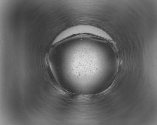 X0000068830094200605191910