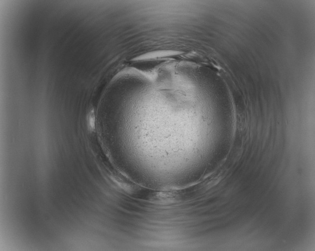 X0000068830095200605191910