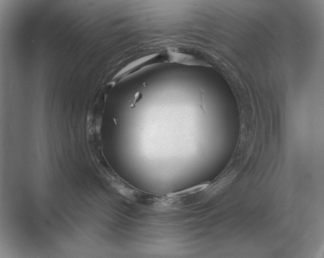 X0000068830096200605191910