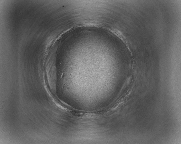 X0000068830097200605191909