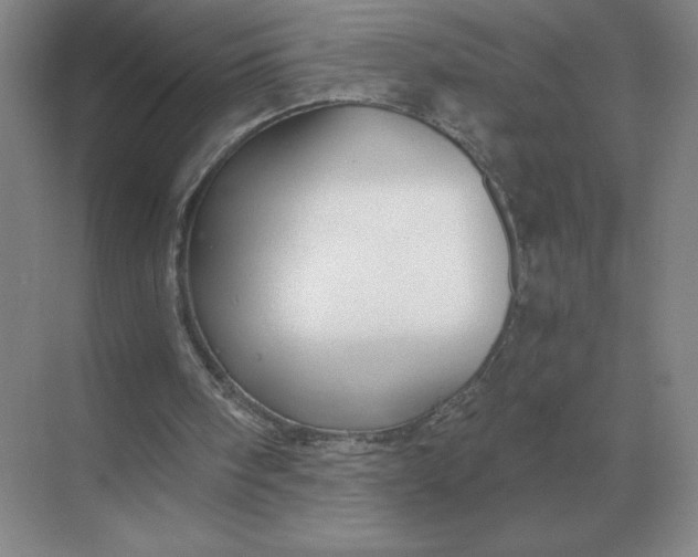 X0000068830098200605191909