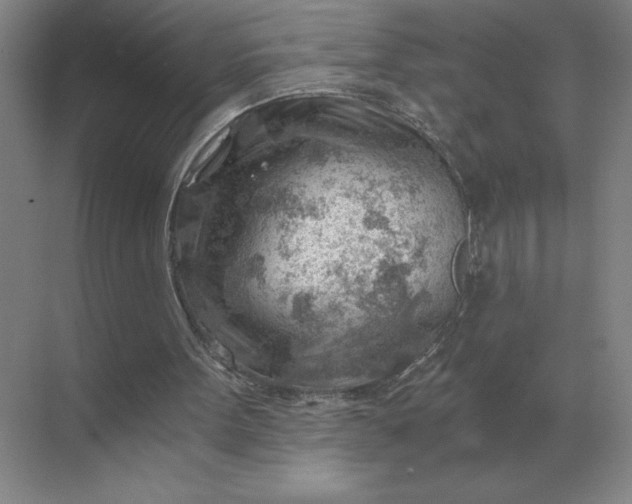 X0000068830099200605191909