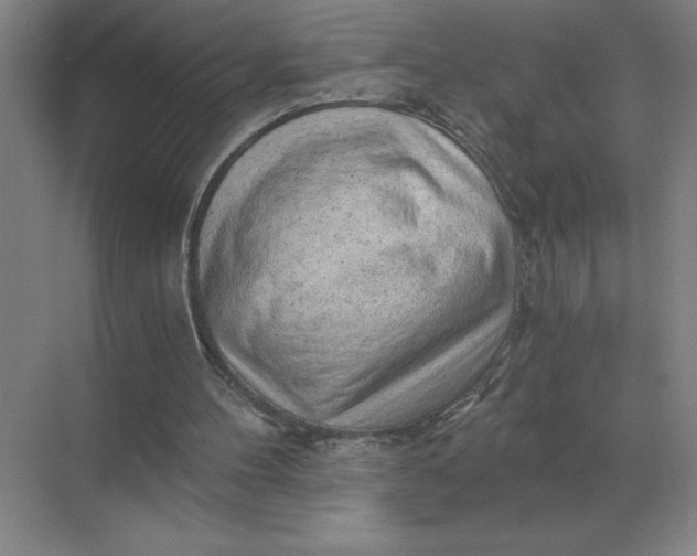 X0000068830100200605191909