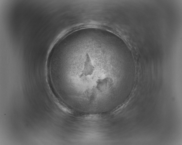 X0000068830102200605191909