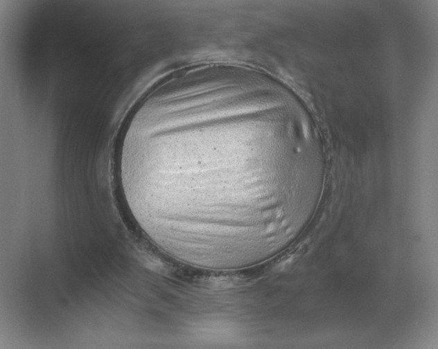 X0000068830103200605191909