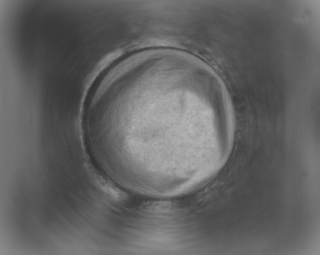 X0000068830104200605191909