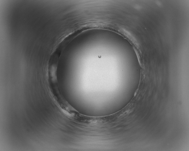 X0000068830105200605191909