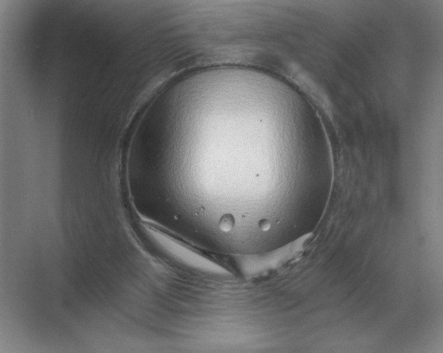 X0000068830107200605191909