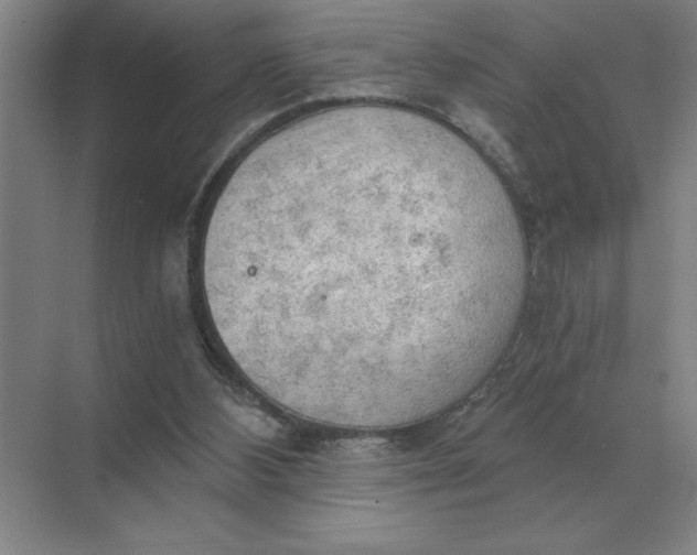 X0000068830108200605191909