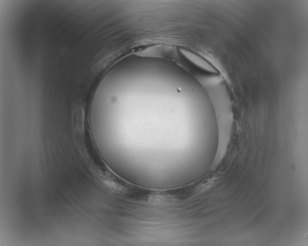 X0000068830109200605191909