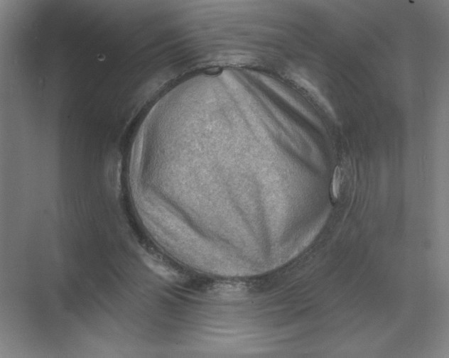 X0000068830110200605191909