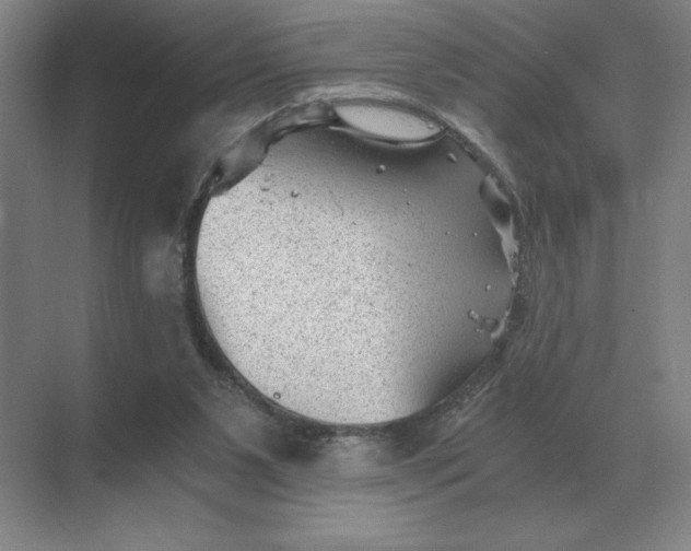 X0000068830111200605191909