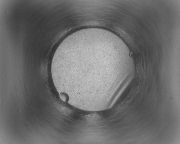 X0000068830112200605191909